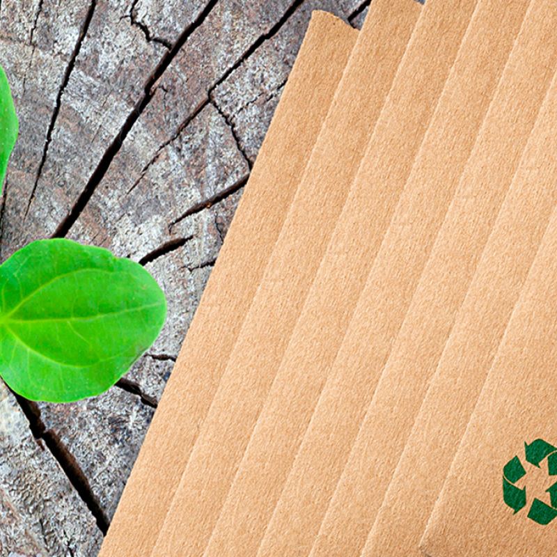 Bæredygtighed i emballage